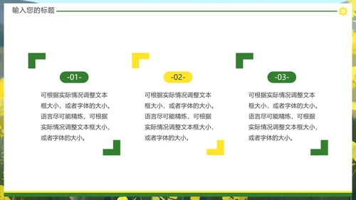 油菜花摄影，油彩花开PPT模板