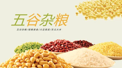 时尚五谷杂粮农产品介绍食品健康营养讲座PPT模板