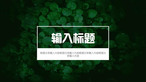 绿色叶子一叶一菩提通用PPT模板