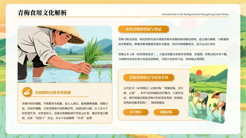 橙色古风二十四节气芒种节气PPT模板