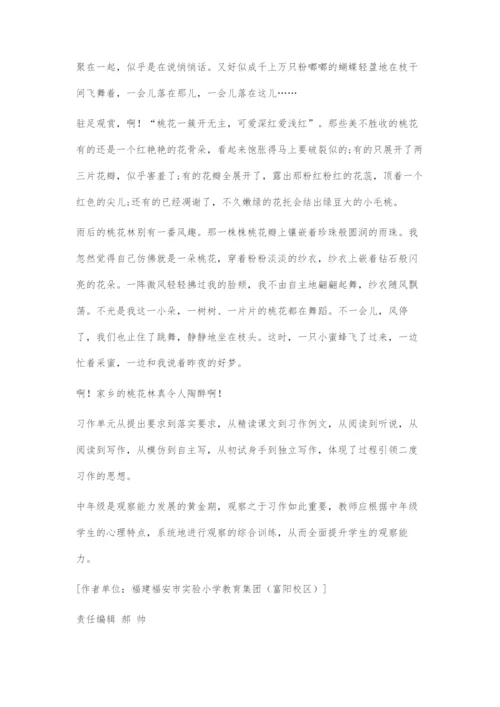 中年级观察能力培养策略例谈.docx