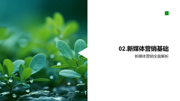 谷雨营销新媒体实战