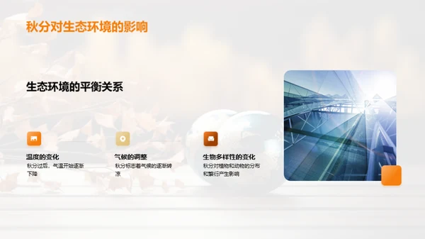 秋分科学探索