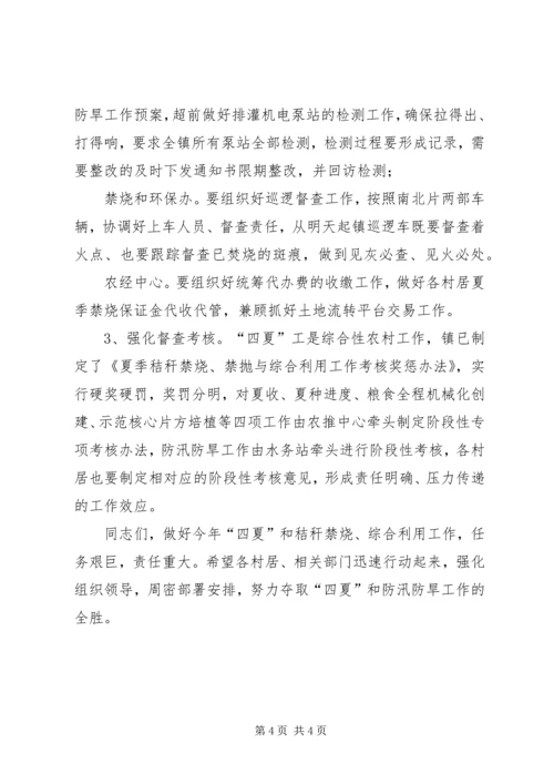 在全镇“四夏”秸秆禁烧禁抛暨防汛防旱工作会议上的讲话.docx