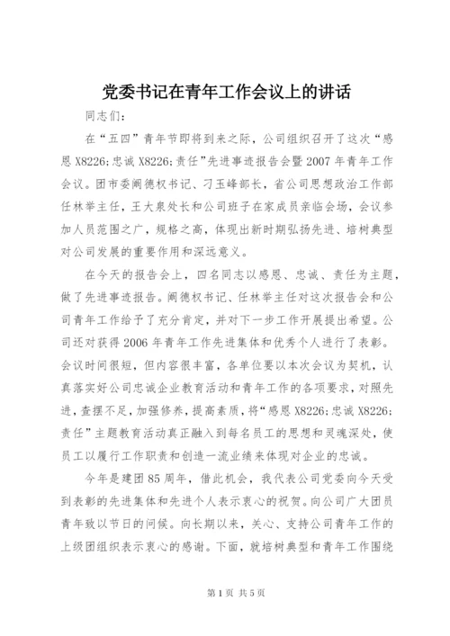 党委书记在青年工作会议上的讲话.docx