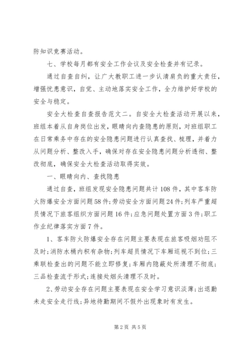 安全大检查自查报告范文精选.docx
