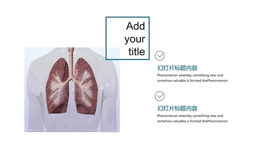 人体器官分布医学医疗ppt动态模板