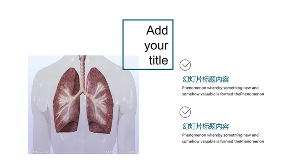 人体器官分布医学医疗ppt动态模板