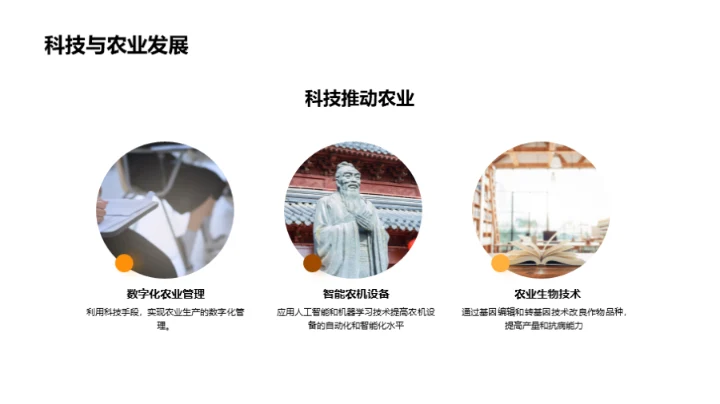 农业发展的演变与展望