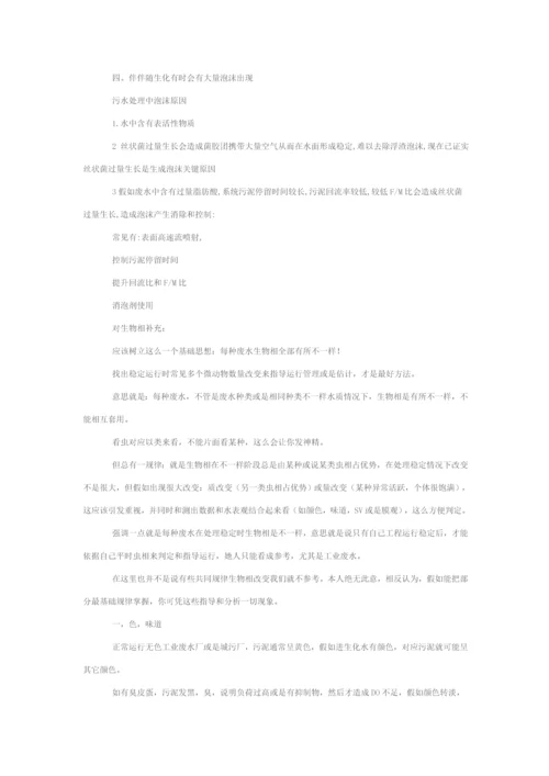 污水处理生化调试关键技术专项方案.docx