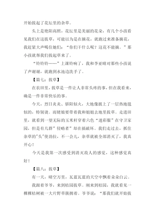 拔草作文200字0.docx