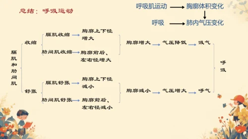 人教版（新课程标准）七年级下册4.3.2 发生在肺内的气体交换课件(共20张PPT)