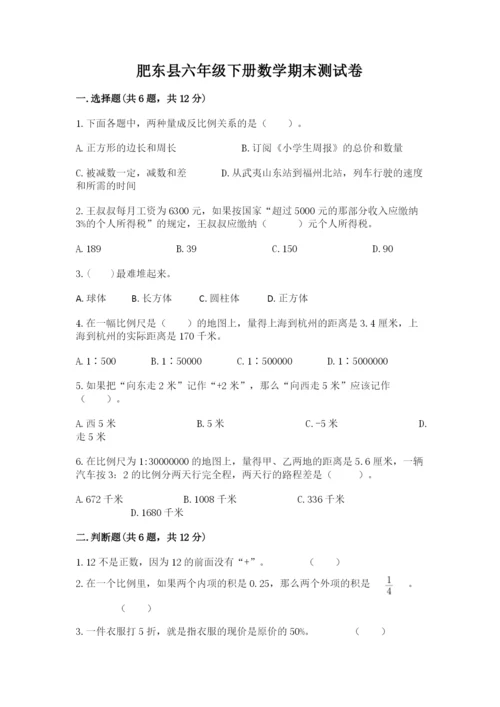 肥东县六年级下册数学期末测试卷精品附答案.docx
