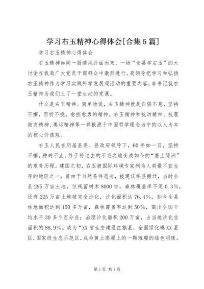 学习右玉精神心得体会[合集5篇] (3).docx