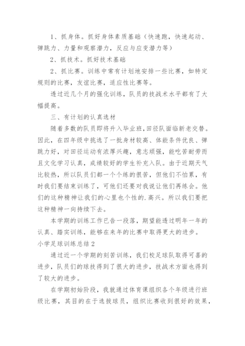 小学足球训练总结.docx