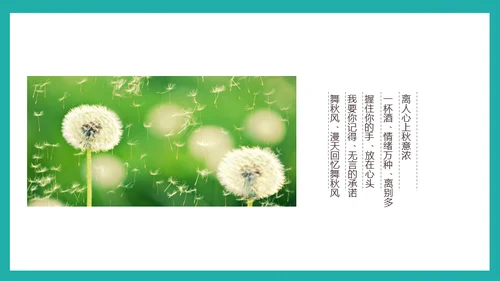 泛舟湖上通用PPT模板