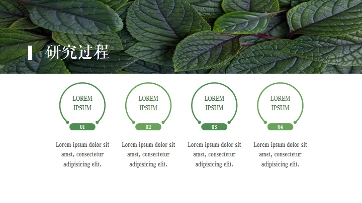 绿色植物自然风格答辩通用PPT模板