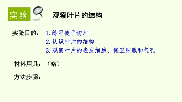 3.2.1水的利用与散失-七年级生物下学期同步精品课件（2024人教版）(共32张PPT)