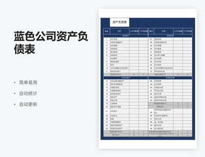 蓝色公司资产负债表