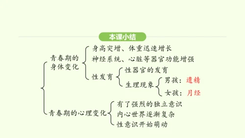 第四单元-第一章-第二节 青春期课件-2024-2025学年七年级生物下学期人教版(2024)(共2
