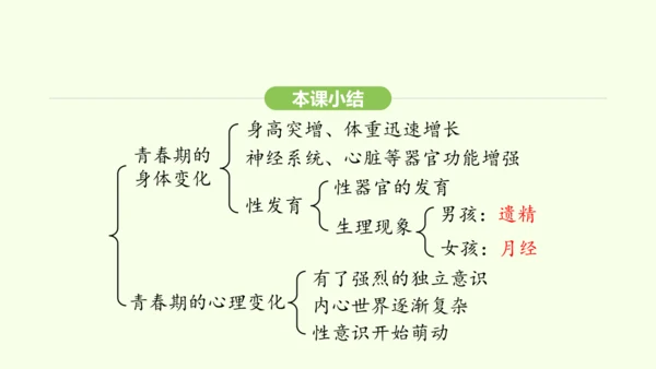 第四单元-第一章-第二节 青春期课件-2024-2025学年七年级生物下学期人教版(2024)(共2