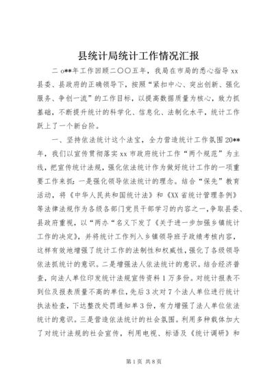 县统计局统计工作情况汇报.docx