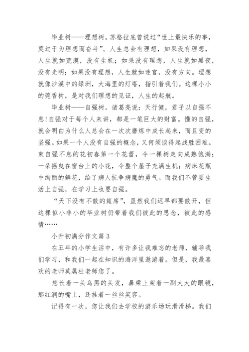 小升初满分作文范文（精选10篇）.docx