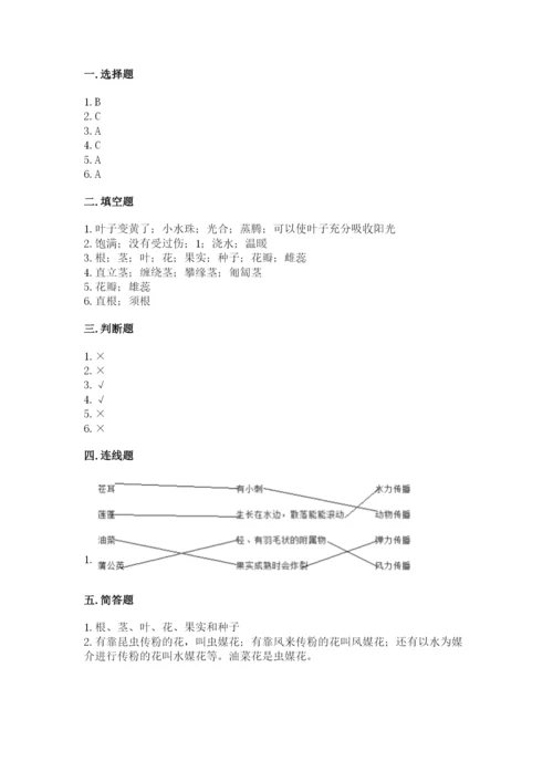 科学四年级下册第一单元植物的生长变化测试卷完整.docx