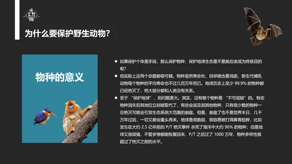 保护野生动物老虎PPT模板