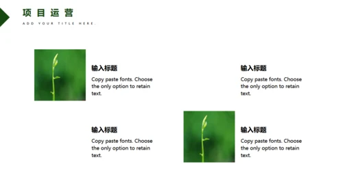 绿色多肉植物商业计划书汇报通用PPT模板