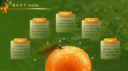 黄绿色高级创赛风农产品汇报PPT模板