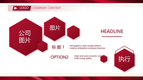 高端公司品牌产品介绍策划方案工作总结PPT