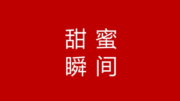 婚礼发布会快闪动画通用PPT模板
