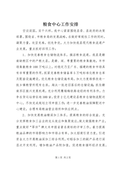 粮食中心工作安排.docx