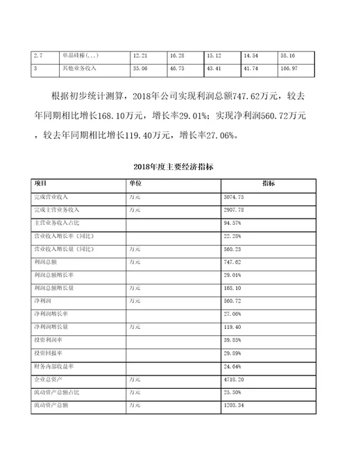 宁夏单晶硅项目年度总结报告