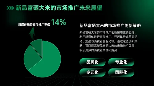 绿色科技风科技富硒大米新品发布会