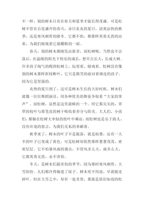 借物喻人的作文600字松树.docx