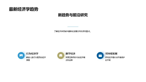 新领域经济学探索