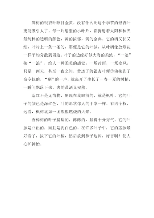 三年级作文秋天-1.docx