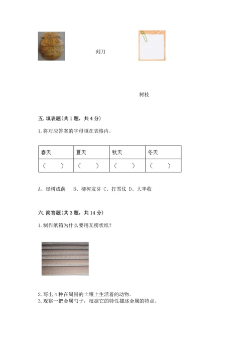 教科版科学二年级上册《期末测试卷》带答案（能力提升）.docx