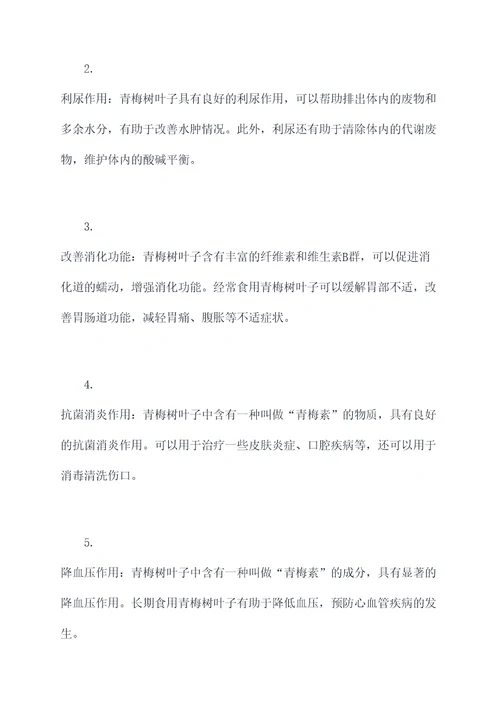 青梅树叶子功效与作用及禁忌