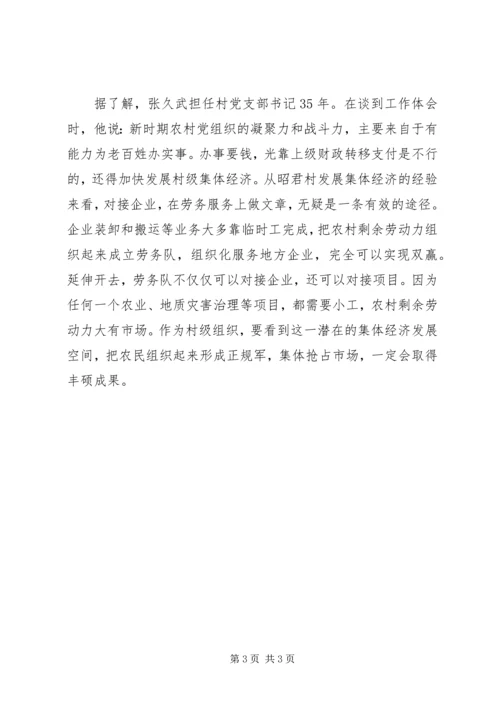 壮大集体经济富民调研报告.docx