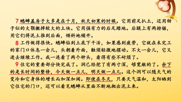 11 蟋蟀的住宅  课件