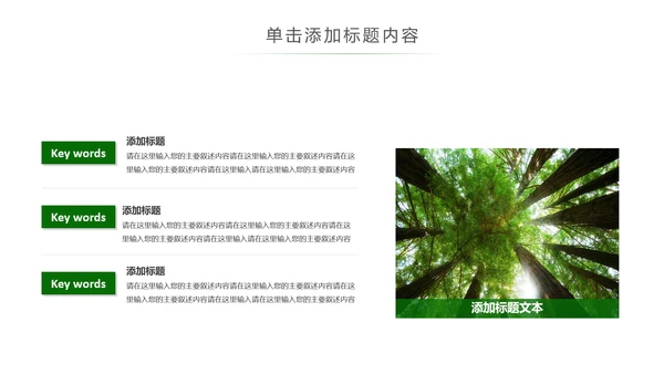 湿地森林世界湿地森林日植树造林动态PPT模板