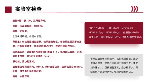 红色简约风缺铁性贫血常规知识培训PPT模板护理
