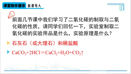 实验活动2 二氧化碳的实验室制取与性质