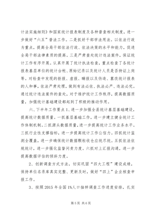 乡镇统计局上半年工作总结和下半年工作要点.docx