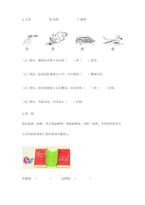 教科版二年级上册科学期末测试卷（重点班）.docx