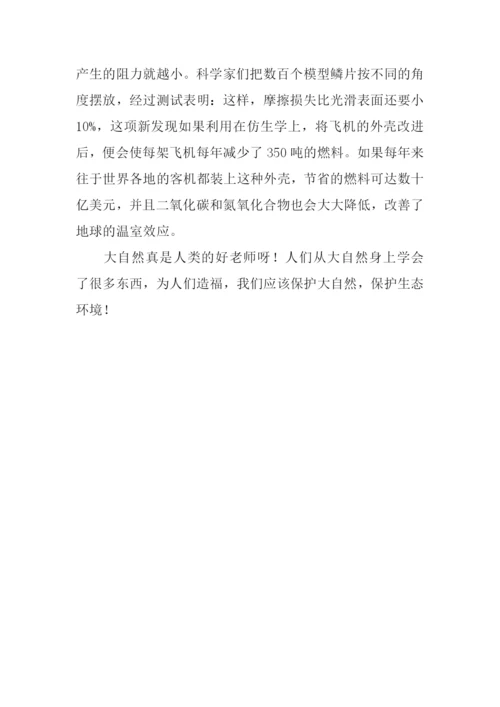 有关大自然启示的作文-1.docx