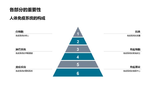 探秘人体免疫系统